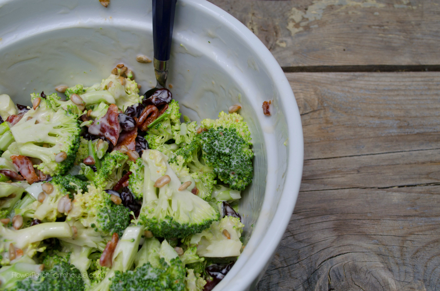 Broccoli Salad Great Summer Eatin'