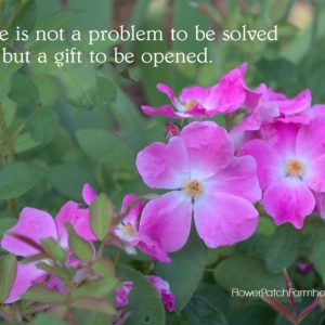 Life is Not a Problem Quote, FlowerPatchFarmhouse.com