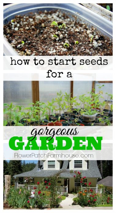 How to Start Seeds for a Gorgeous Garden, FlowerPatchFarmhouse.com