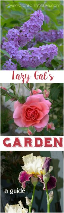 Want a beautiful garden but don't know where to start? Are you short on time, money and know how? A fabulous garden is easier than you think. Join us for this series on how to grow an easy garden that is fabulous too. FlowerPatchFarmhouse.com