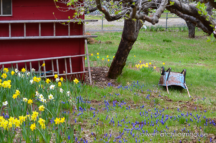 Spring in White Pines April 2016, FlowerPatchFarmhouse.com (25 of 60)