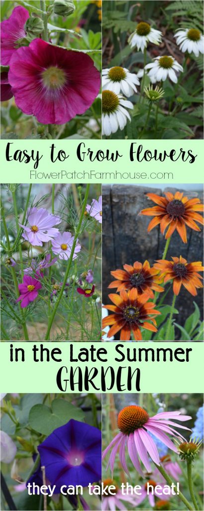 Easy to Grow flowers for your late summer garden.  They take the heat and keep on looking fabulous until frost!  Grow most from seed for an easy on the budget garden. 