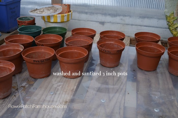 3 inch plastic pots for cuttings