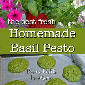 collage with basil leaves and pesto mounds on cookie sheet with text overlay, homemade basil pesto, Flower Patch Farmhouse