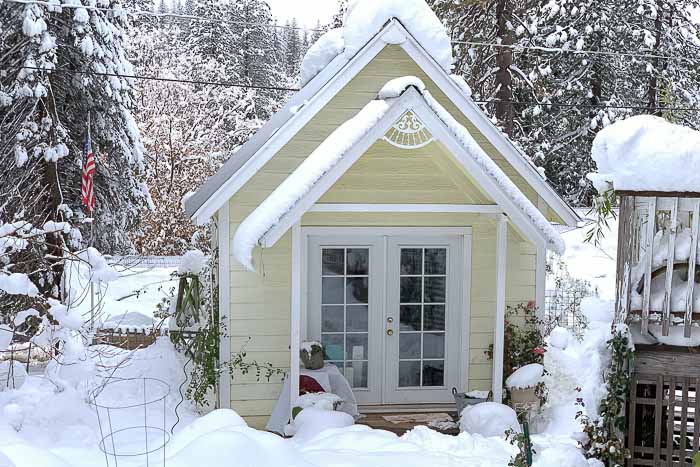 winter she shed Flower Patch Farmhouse