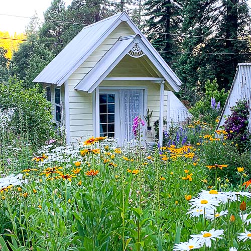 she shed in flower garden