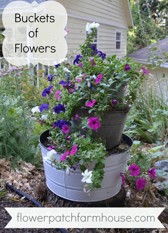 Buckets of Flowers