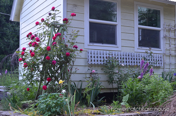 Build a Wood Garden Obelisk