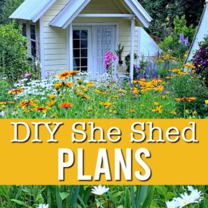 DIY she shed in cottage garden