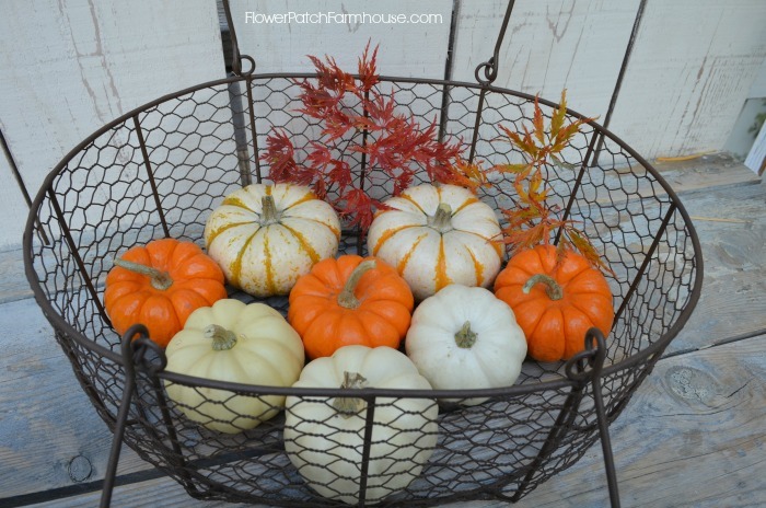 Just a lot of Pumpkins