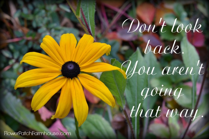 Don’t Look Back