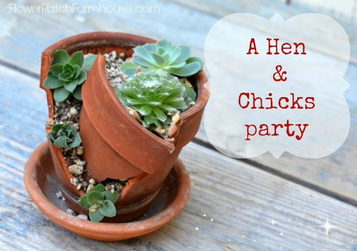Sempervivum Hens and Chicks