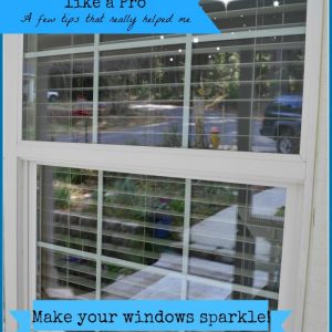 Window with text overlay, Clean your windows like a pro, Flower Patch Farmhouse