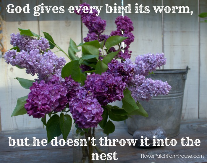 Lilac Monday Inspirational Quote