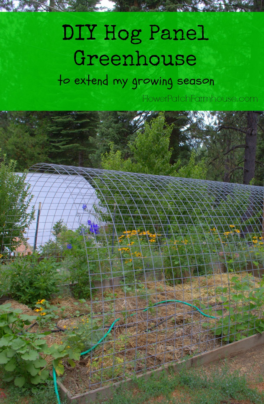 DIY Easy greenhouse