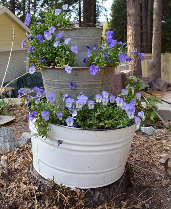 DIY vertical garden planter filled with pansies