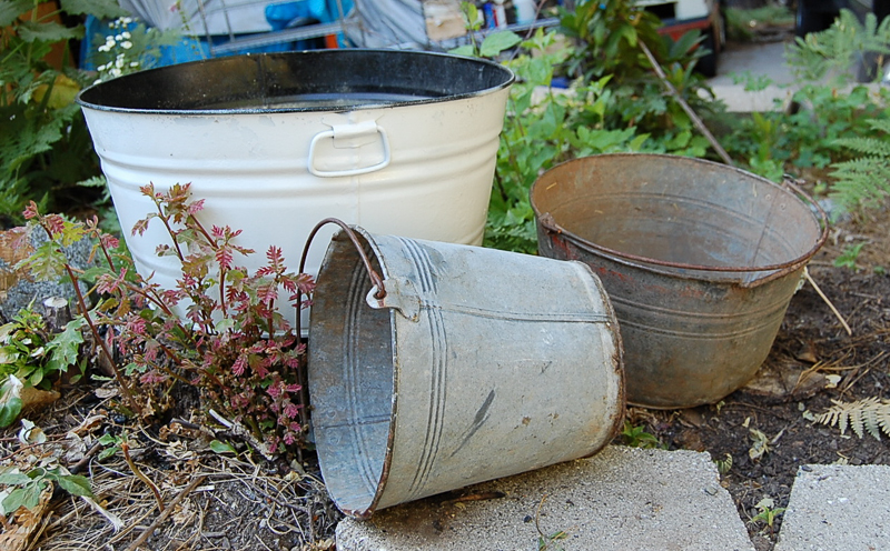 Old Buckets & a Wine Barrel