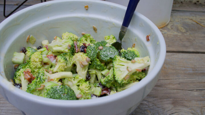 Our Favorite Broccoli Salad Flower Patch Farmhouse