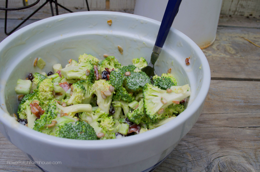 Our Favorite Broccoli Salad