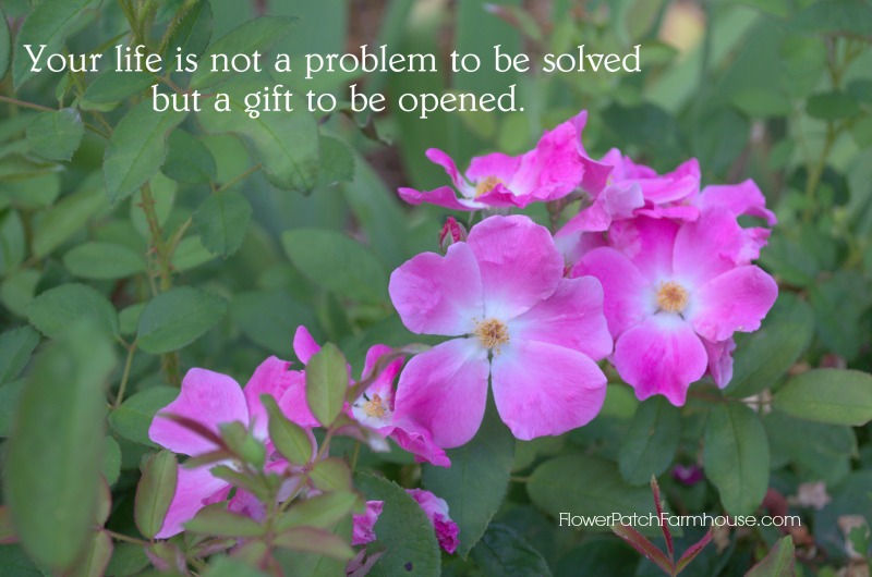 Life is Not a Problem Monday Quote