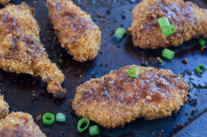Honey Garlic Chicken with Brown Rice, FlowerPatchFarmhouse.com