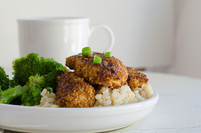 Honey Garlic Chicken