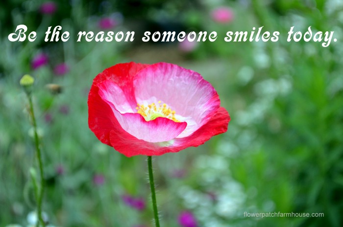 Be the Reason Someone Smiles Today