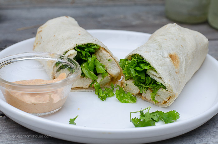 Cilantro Lime Chicken Wrap with Chipotle Mayonnaise