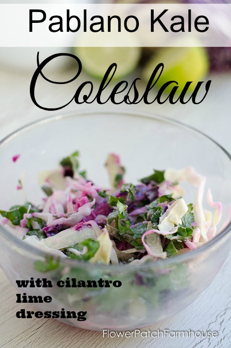 Poblano Kale Coleslaw with Cilantro Lime Dressing, FlowerPatchFarmhouse.com