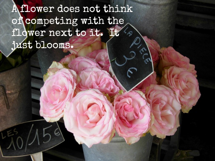 A Flower Does Not Compete Inspiration Flower Patch Farmhouse