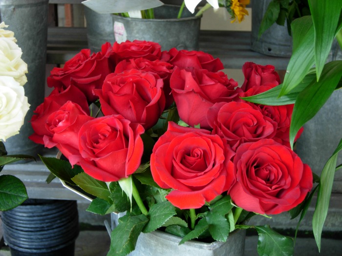Red roses, FlowerPatchFarmhouse.com