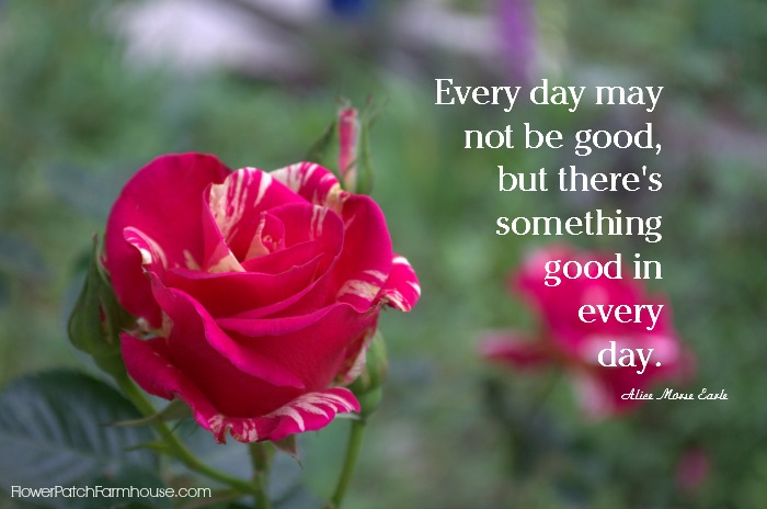 There is something good in every day