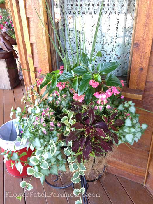 Planters for shade, FlowerPatchFarmhouse.com Shade Loving plants you can grow in containers and brighten up those dark spots!