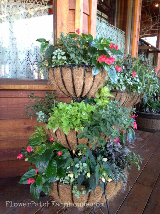 Planters for shade, FlowerPatchFarmhouse.com Shade Loving plants you can grow in containers and brighten up those dark spots!