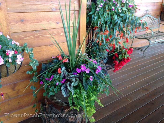 Planters for Shade, FlowerPatchFarmhouse.com Shade Loving plants you can grow in containers and brighten up those dark spots!