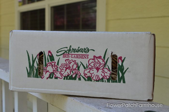 Box from Schreiner's Iris garden, FlowerPatchFarmhouse.com (1 of 1)