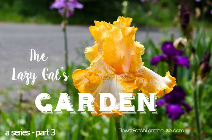 The Lazy Gal's Garden Guide, simple tips and tricks to get a gorgeous garden when you don't have much time. FlowerPatchFarmhouse.com