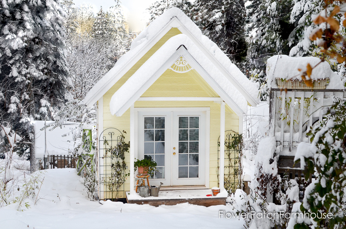 How to Build a Gorgeous She Shed, complete with link to step by step plans. Great for a home office, glorified garden shed or as an art / craft studio. Come see our photo album of building this one. FlowerPatchFarmhouse.com