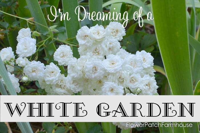 I'm dreaming of a White Garden, FlowerPatchFarmhouse.com