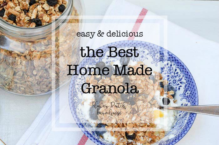 bowl of granola with text overlay