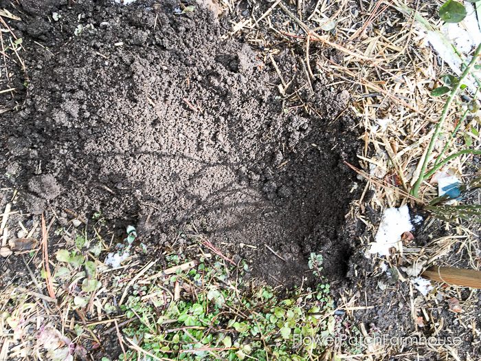 how to create instant compost with things you already have, no bin or piles to turn. Your garden will love you, especially the worms!