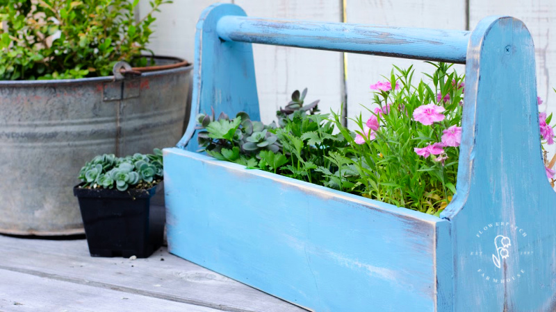 blue tool box planter with various plants in it, succulents, herbs and pink dianthus