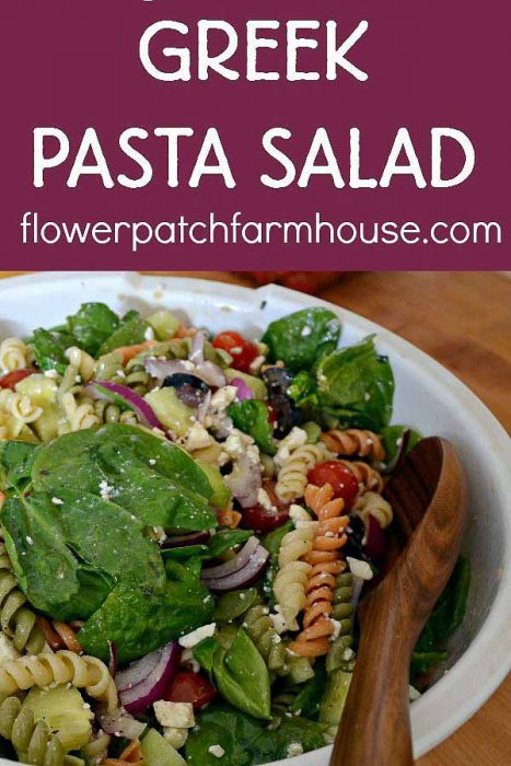 Greek Pasta Salad recipe, an easy make ahead dish that will please a crowd. This recipe tastes even better the second day. Loaded with garden fresh vegetables and feta cheese for a hint of tang!