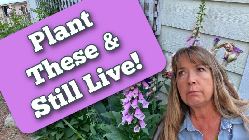 woman in front of pink foxgloves growing in a cottage garden. Text overlay reads: Plant These and Live!