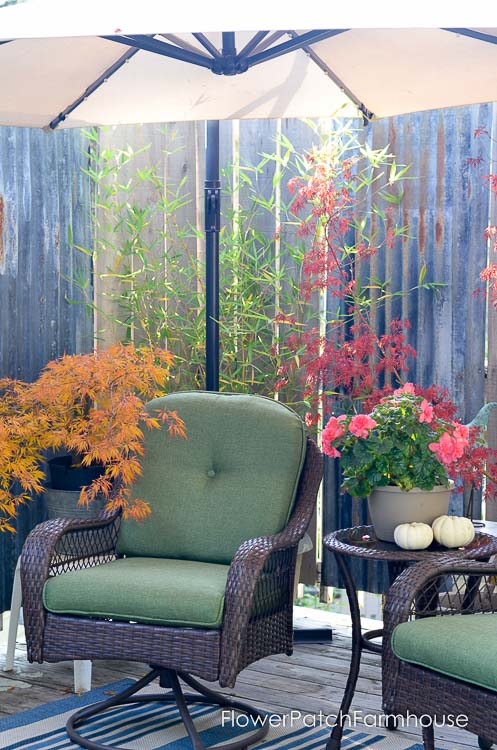 Back deck for Fall