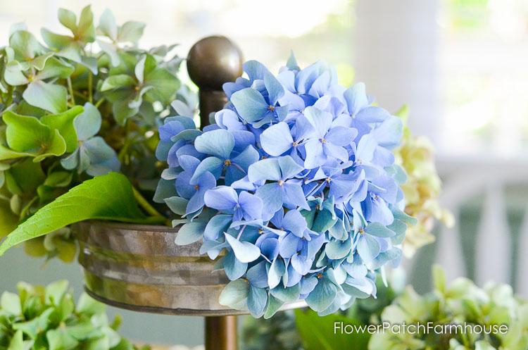 Hydrangeas and pumpkins for Fall Dining room decor