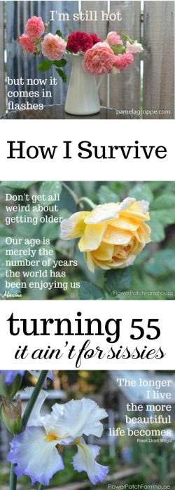 Turning 55 and Feeling fine, getting older is not for sissies. suck it up Buttercup and join the Fabulous 50's!