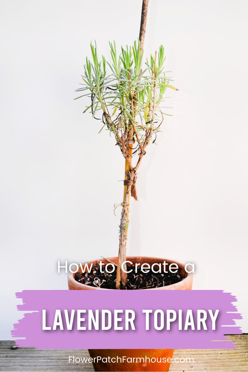 How to Make a Lavender Topiary Flower Patch Farmhouse