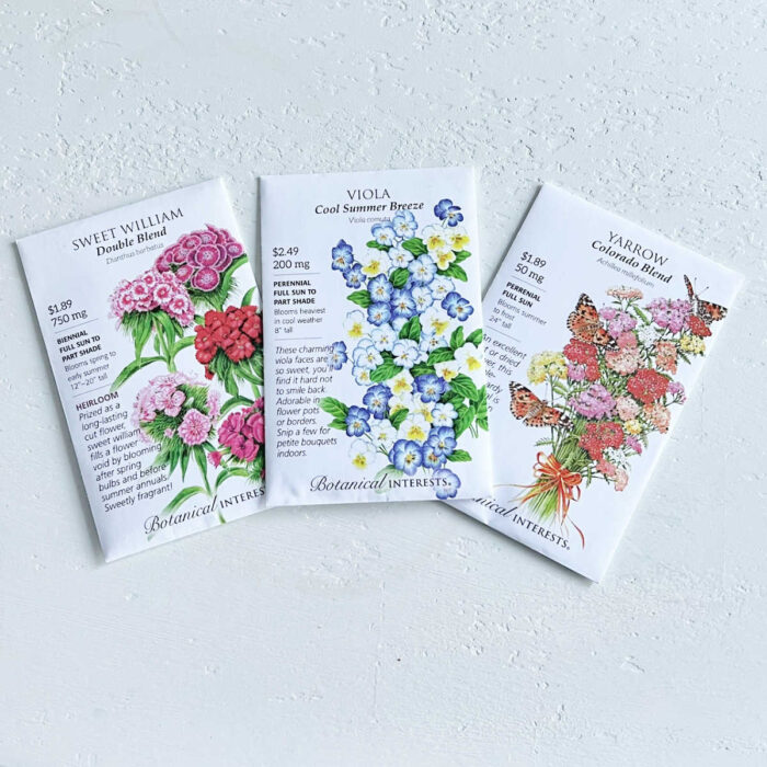 three packets of flower seeds displayed