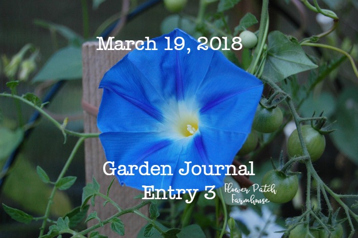 Garden Journal March 19, 2018